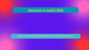 Seznam e-mailů B2B